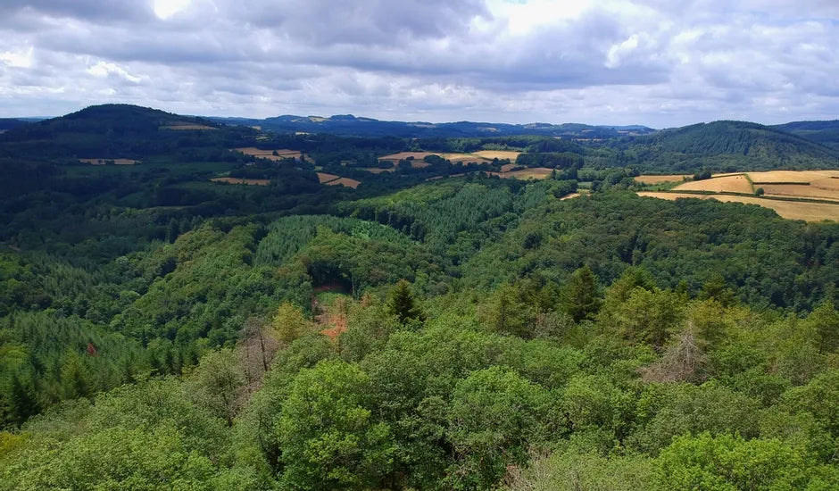 PARCOURS EN 2CV ~ Le Morvan sauvage