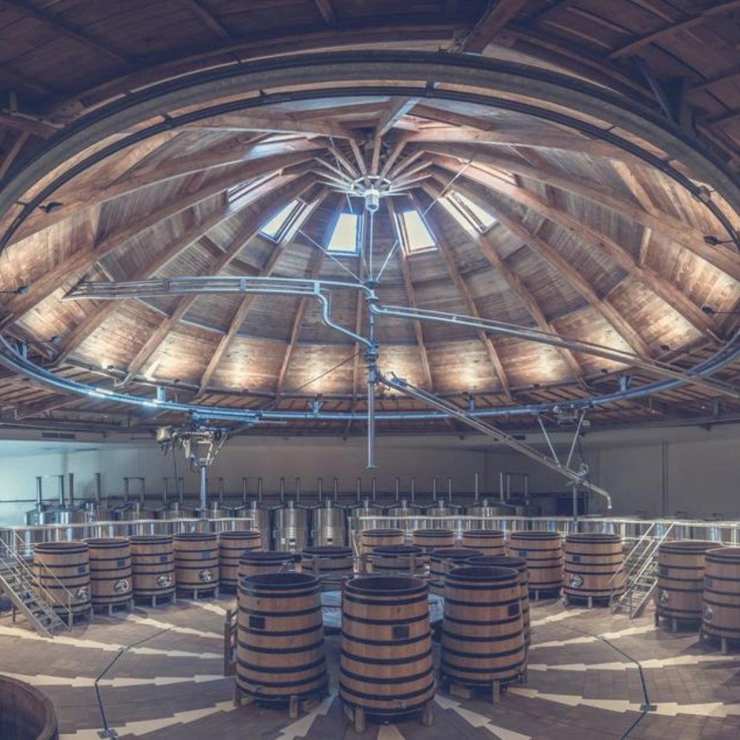 Visit &amp; Tasting Domaine Louis Jadot • 2 people