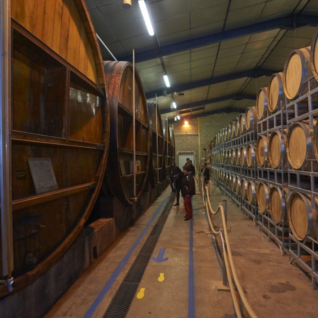 Visit to Cassissium &amp; Tasting • 2 people