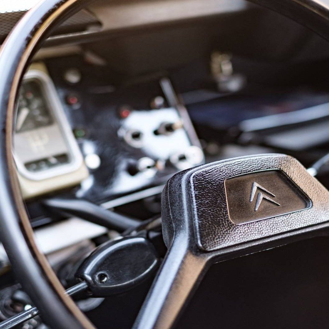 Promenade en truffière avec des chiens et dégustation de truffes